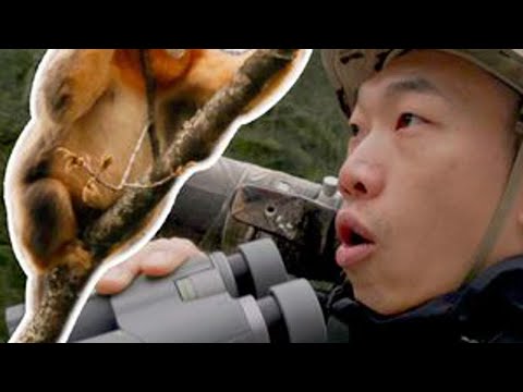 妈❗️我看到野生金丝猴了‼️电视上那种🐒 欢迎来到小刘的门外系列!这次我带着我的相机去到了四川的唐家河自然保护区这里的自然生态保育的非常的好!这次我究竟能遇到什么样有趣的事情我们一起...