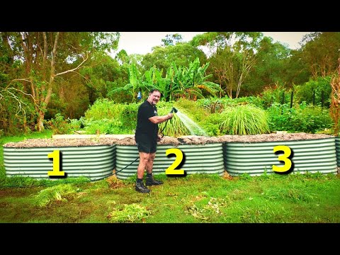 Essential TIPS For Preparing Your Raised Garden Beds for Planting Vegetables?