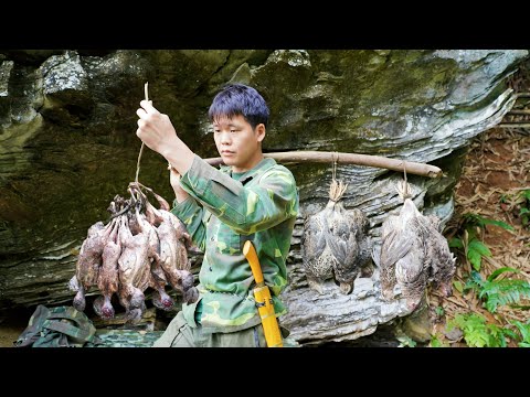 Venturing deeper into the wilderness, I discovered a bird's nest and set a few traps next to it