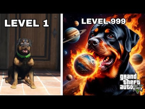 GTA 5 - Chop Evolution Level 1 to Level 999 in Story Mode