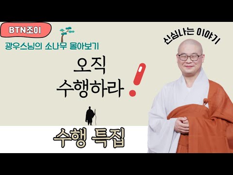 오직 수행ㅣ광우스님 소나무 ㅣ수행특집ㅣ몰아보기
