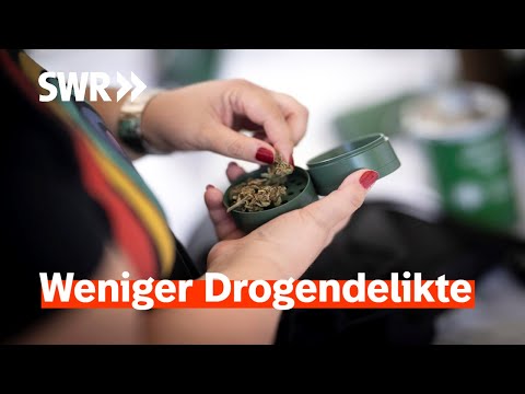 Cannabis-Legalisierung trotzdem falsch? I Zur Sache Rheinland-Pfalz