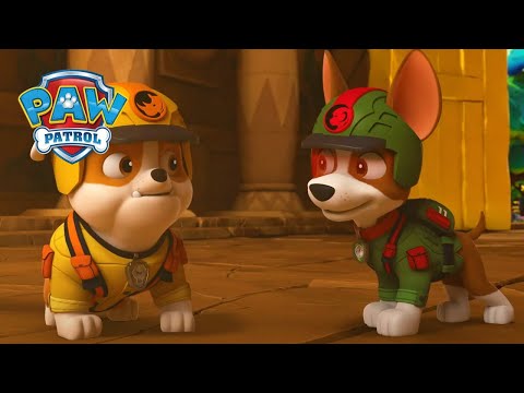 A Golden Sweetie! - PAW Patrol - Cartoons for Kids