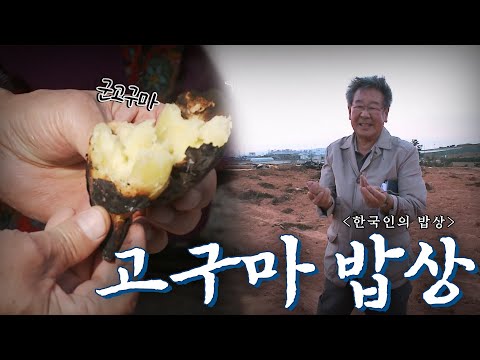 추워진 날씨에 몸과 마음을 살찌워주는 '고구마 밥상', Korean Food|최불암의 한국인의밥상🍚 KBS 20121025