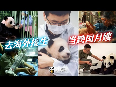 去海外接生、当跨国月嫂:福宝、香香、圆梦、天宝的接生奶爸奶妈们的故事