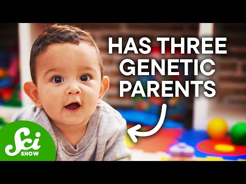 How To Make A Baby With Three Parents
