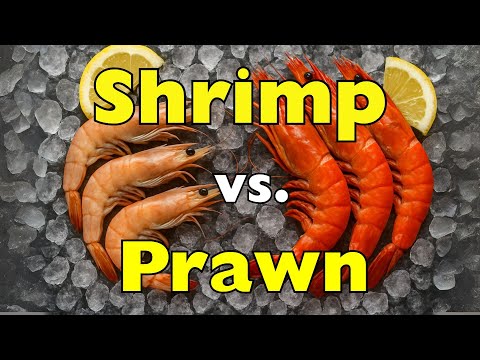 Shrimp vs. Prawns: What’s the Difference?