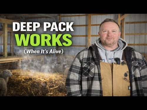 Why Deep Pack Works (And Why It Fails So Badly When It Doesn't)