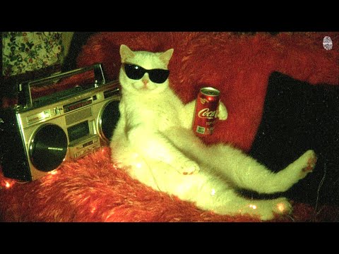 Playlist “What’s the title of this song?” 🎁 chill Hip-hop & R&B gems I found after digging