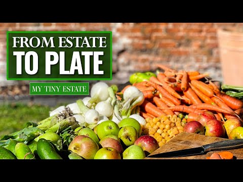 S02 EP44 - The Garden That Feeds Us – Body & Soul | My Tiny Estate