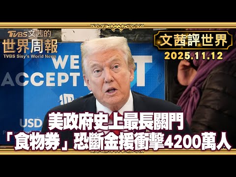 美政府關門再改寫史上最長紀錄 食物券撥款砍半.航班大減10%|美政府關門.AI泡沫疑慮 避險需求推動貴金屬回漲【#文茜評世界】20251112 #川普 #政府 #食物券 #美國