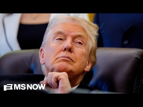 UAE tied-firm signed $500M deal with Trump crypto four days before president took office: WSJ