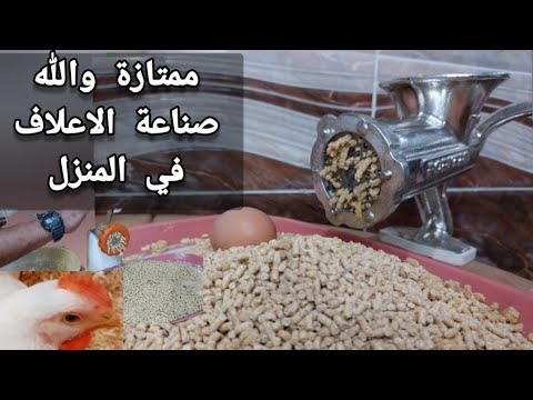 والله العظيم هتعمل علف ممتاز سوبر في البيت بطريقة سهلة وهتوفر كتير علف بادى23%بروتين