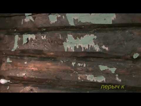 A grand project. Decorating the interior walls of an old log house. 1