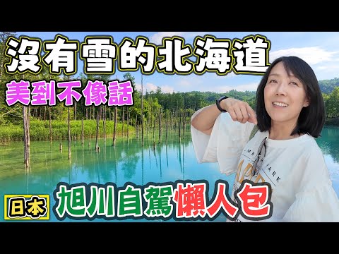 【沒有雪的北海道 美到一個不像樣2】旭川動物園 美瑛 拼布之路 青池 白鬚瀑布 白金溫泉 十勝岳