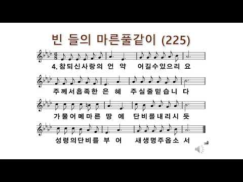 12월 20일 안식일 노대의목사님