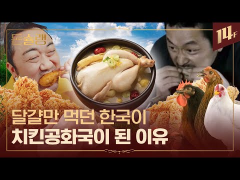 🐔우리가 먹는 '작은 닭'에 숨겨진 비밀? 치킨공화국을 만들어낸 육계 산업 전쟁🥄ㅣ돈슐랭 / 14F