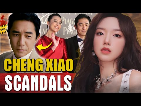 From K-Pop Sweetheart to China's Controversial Star: The Cheng Xiao Story