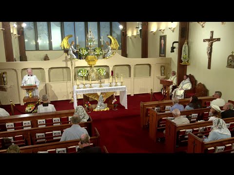 Daily Readings and Homily - 2025-10-07 - Deacon Chris