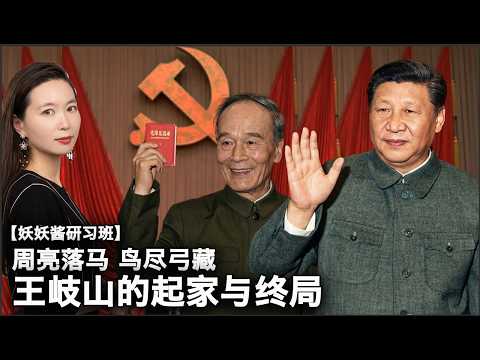 【妖妖酱研习班】周亮被查 习近平为何惧怕王岐山?