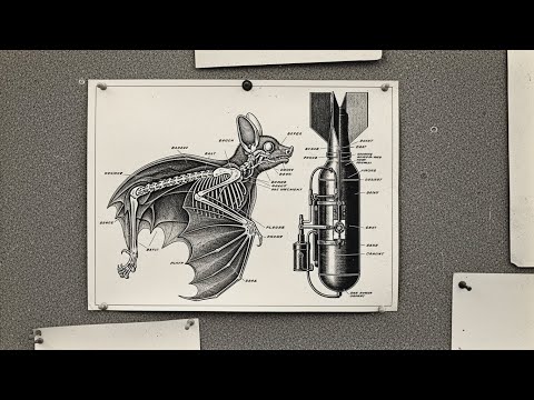 Japanese Leaders Were Baffled by the US Plan to Burn Cities Using Bats with Bombs