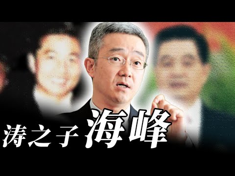 不一样的干部 - 锦涛之子胡海峰