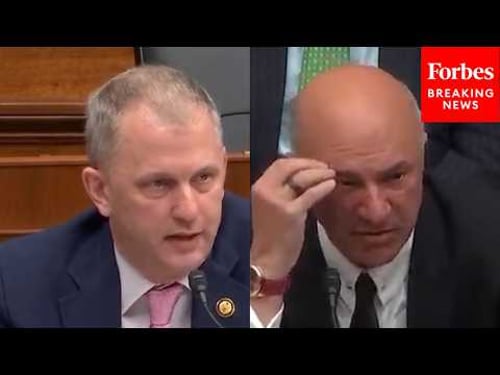 'Doesn't That Hurt Supply?': Casten Grills Kevin O'Leary On Deportation Of Construction Laborers