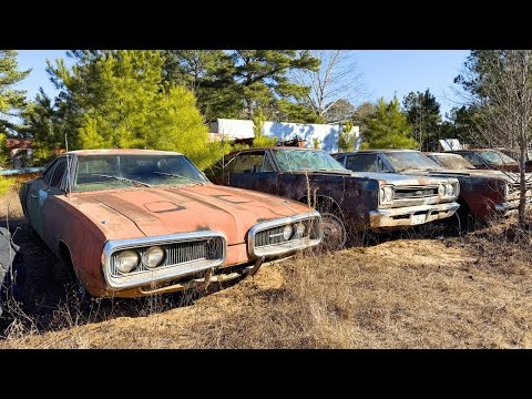 MASSIVE Southern SECRET Junkyard Full of Classic Cars!