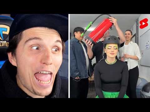 Paluten guckt Shorts 13.0