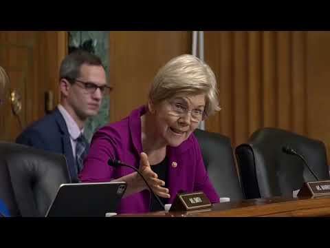 Elizabeth Warren Grills IRS Commissioner Billy Long