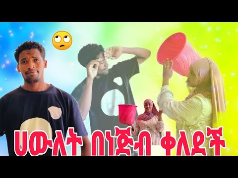 ሀውሊ ነጅብን ሰራችለት