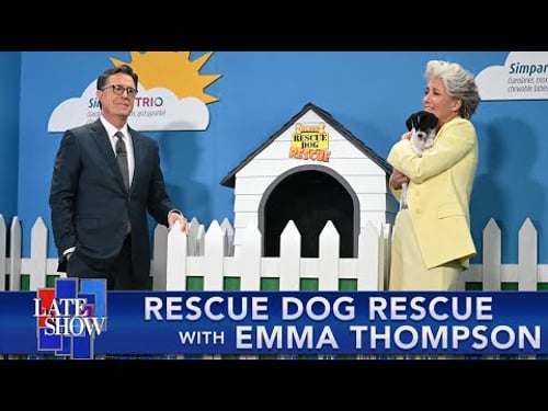 Rescue Dog Rescue with Emma Thompson