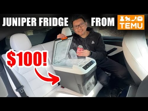 New $100 Car Refrigerator for Model Y Juniper from Temu #tesla #temu