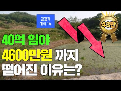 40억 임야 4600만원 까지 떨어진 이유는 ?