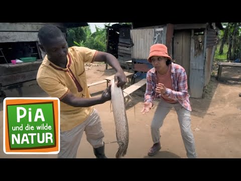 Bootsafari im Flussdelta | Reportage für Kinder | Pia und die wilde Natur