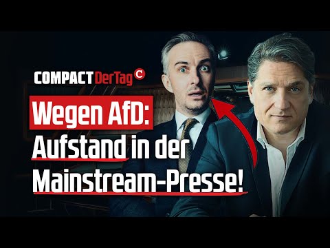 Wegen AfD: Aufstand der Mainstream-Presse!💥