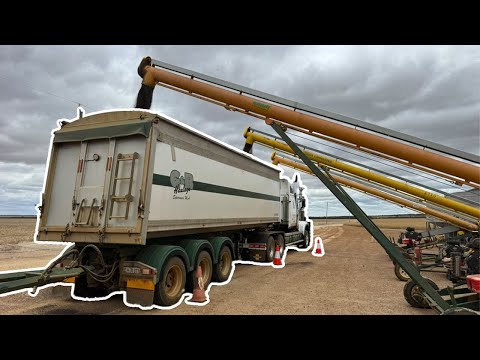 A full day of harvest! | Harvest 2025 | Western Australia