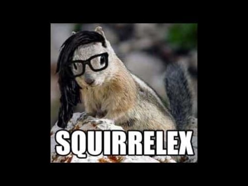 Bird is the word - vs - Bangarang (The Trashmen & Skrillex)