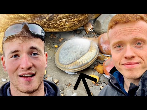 Perfect Ammonite, Crocodile Skull! 3 Day Outdoor Hunt! | Fossil Hunter