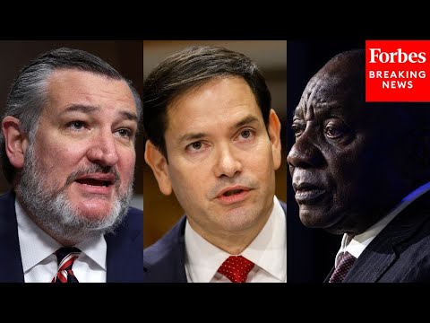 Ted Cruz Asks Marco Rubio How South Africa Is 'Undermining American National Security'