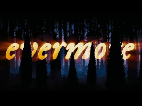 Taylor Swift - the evermore era (Live From TS | The Eras Tour) (Tokyo)