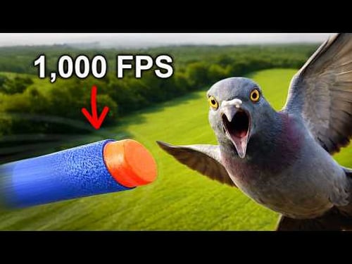 "Hunting" with the World's Most Powerful NERF Gun!
