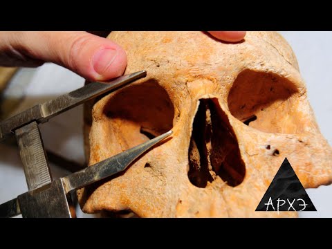 Станислав Дробышевский: "Ошибки антропологов"