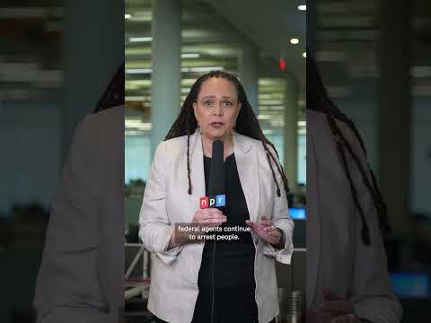 Federal agents pull elderly, underdressed man from his St. Paul home