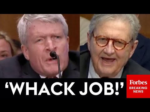 SHOCK MOMENT: Insults Fly As John Kennedy And Richard Painter Have Wild Clash During Hearing
