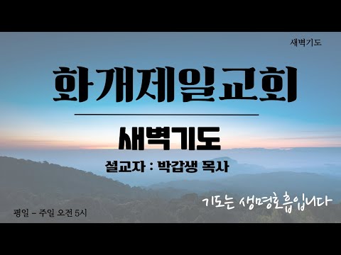 "여호와께 미움을 받는자" | 잠 언 17:15~28 | 화개제일교회 새벽 기도회 | 매일 새벽 5시 시작