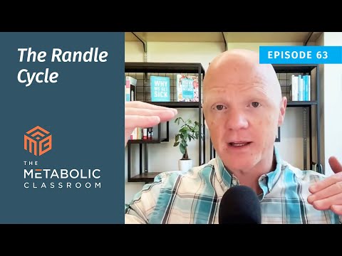 63: The Randle Cycle - How Your Body Chooses Between Glucose and Fat with Dr. Ben Bikman
