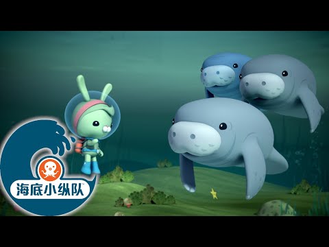 海底小纵队 - 温柔的大个子 | 海底探险