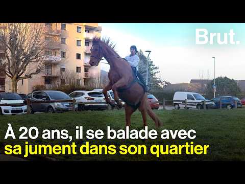 Il a réalisé son rêve : avoir sa propre jument