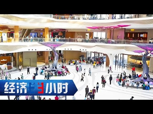 创新探路、红利释放,吸引全球飞机前来维修保养,海南自贸港加速从 “总蓝图”变“实景图” 「经济半小时」20240912 | 财经风云